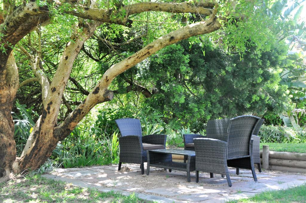 Umlambo River Lodge Kirkwood Esterno foto