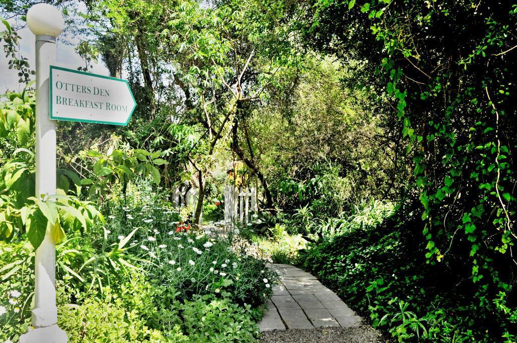 Umlambo River Lodge Kirkwood Esterno foto