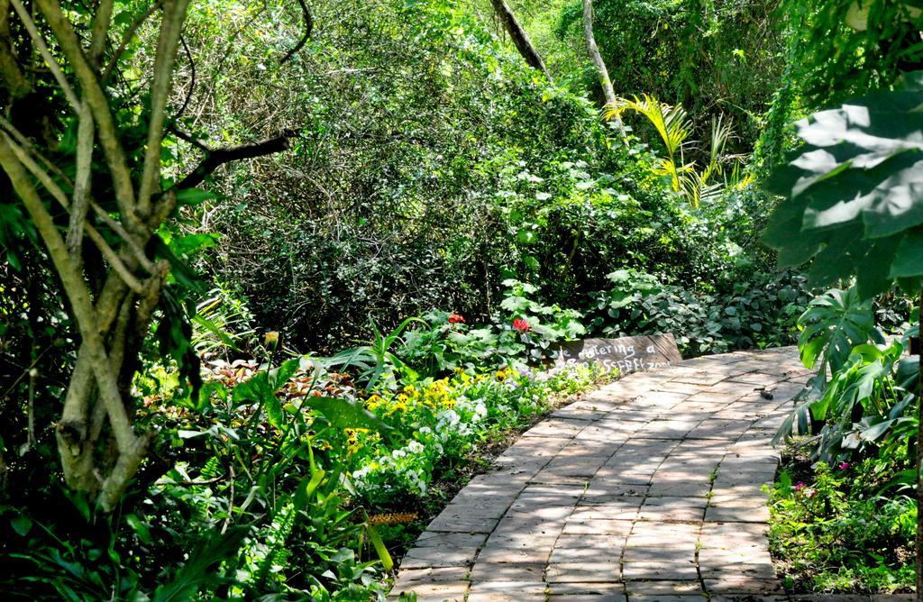 Umlambo River Lodge Kirkwood Esterno foto