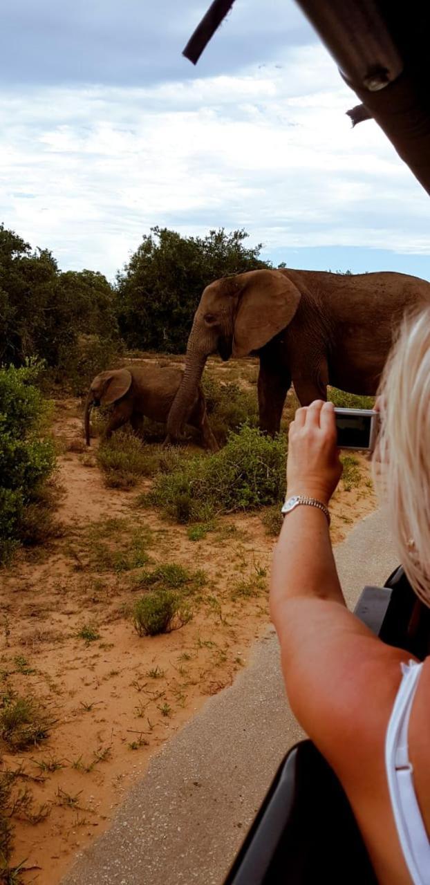 Umlambo River Lodge Kirkwood Esterno foto
