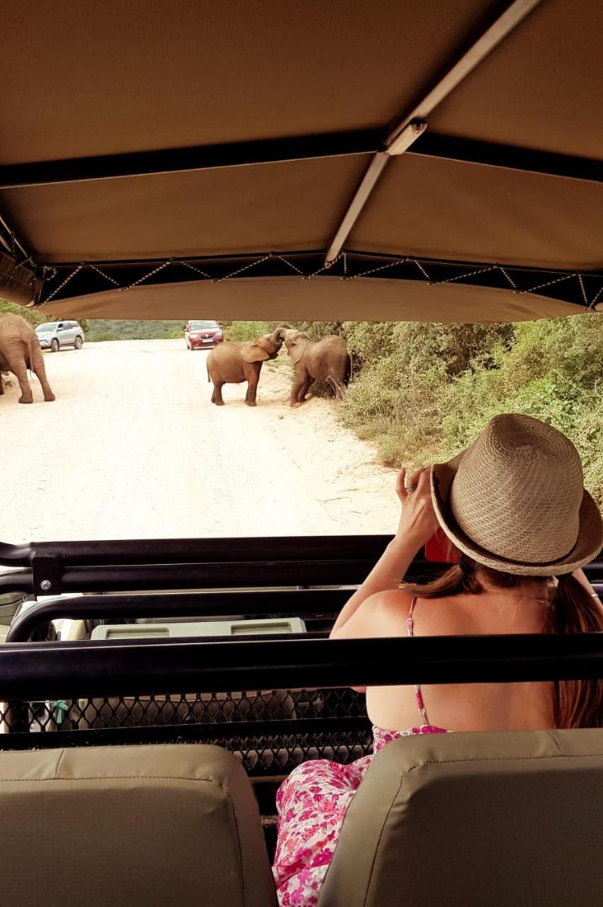 Umlambo River Lodge Kirkwood Esterno foto